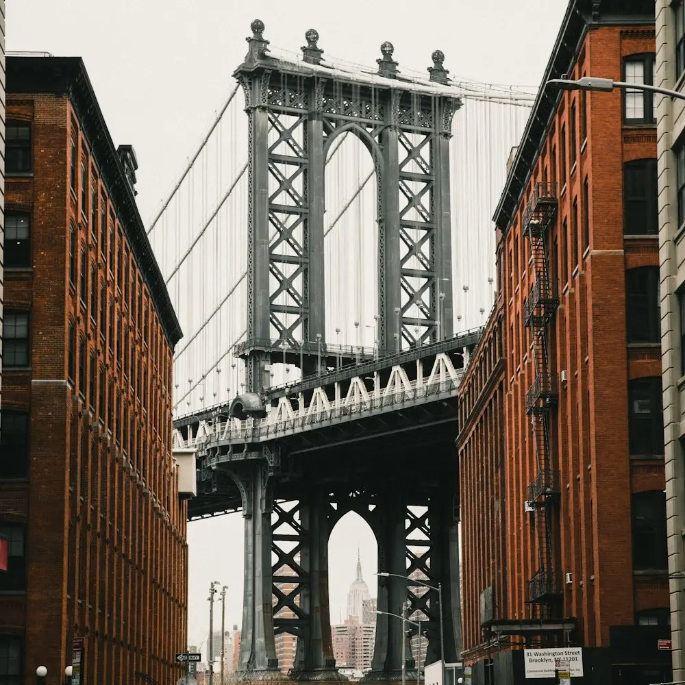 NYC Happy Hour [Climatebase Fellowship]