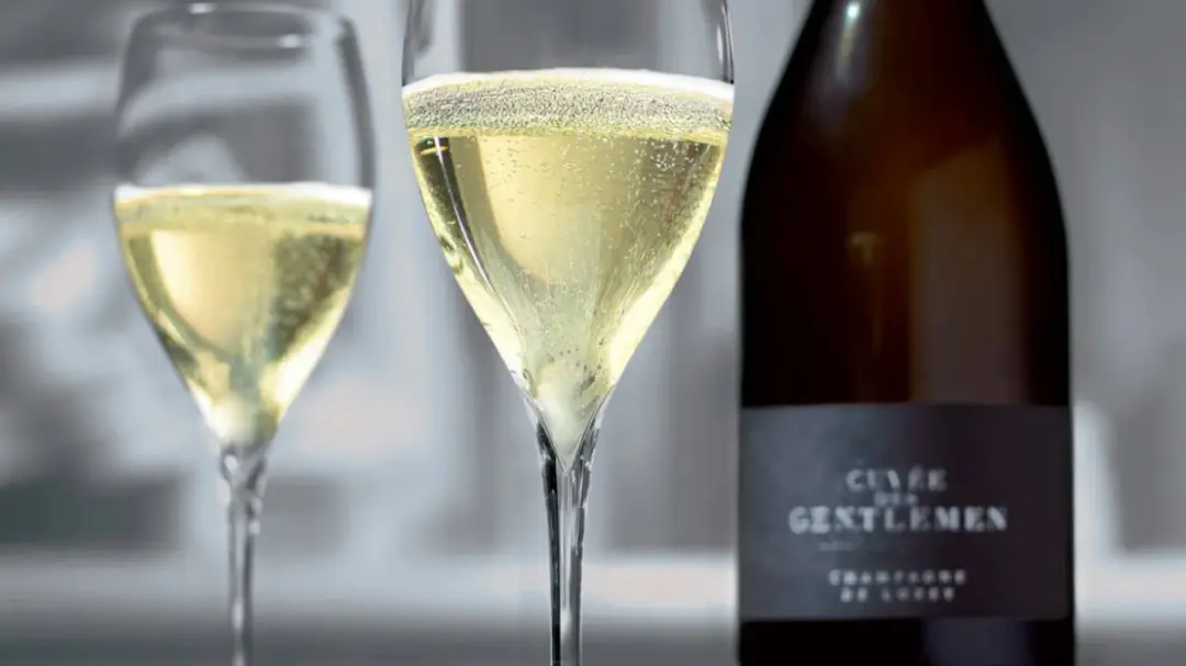 ✨ En eksklusiv champagneoplevelse – De Lozey fra Côte des Bar i København✨