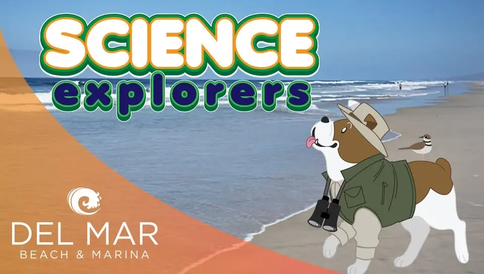 🪶 Science Explorers - Ecological Indicators