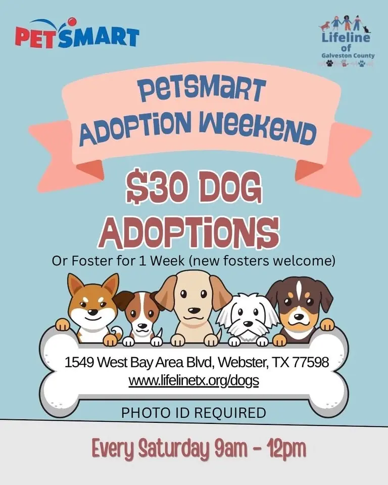 $30 Dog Adoption + Dog Fostering Event at PetSmart