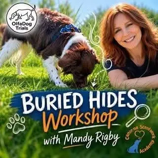 Buried Hides Workshop