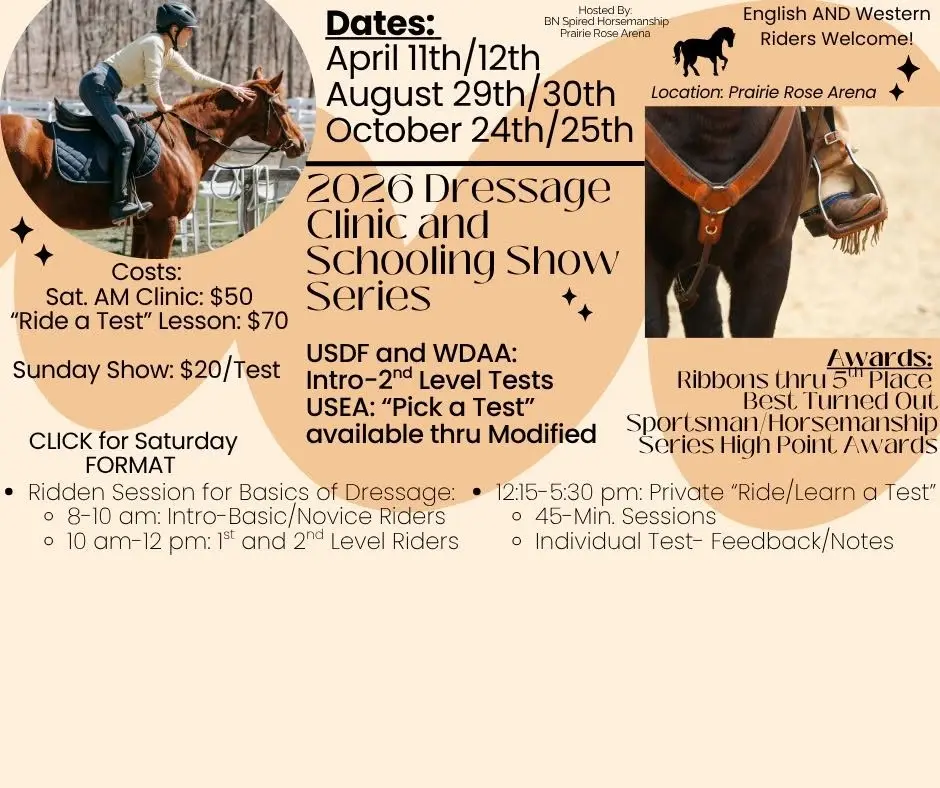 Dressage Clinic/Schooling Show Series
