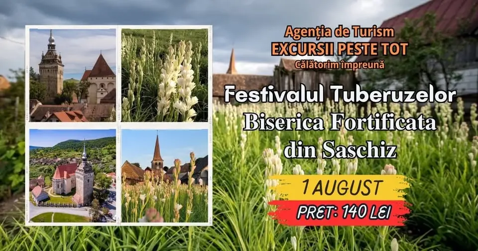 🌸🎶 𝐅𝐄𝐒𝐓𝐈𝐕𝐀𝐋𝐔𝐋 𝐓𝐔𝐁𝐄𝐑𝐎𝐙𝐄𝐋𝐎𝐑 🏰