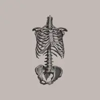 Under The Skin