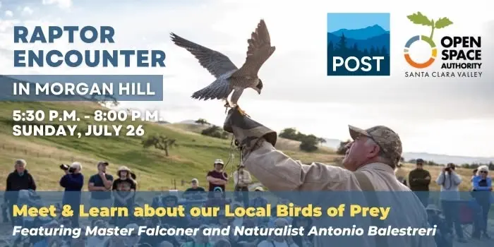 Raptor Encounter in Morgan Hill