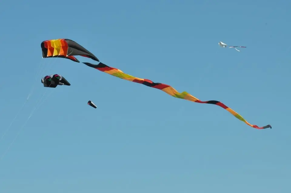 Free Fly