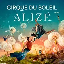Open Bar Upgrade - Cirque du Soleil ALIZÉ