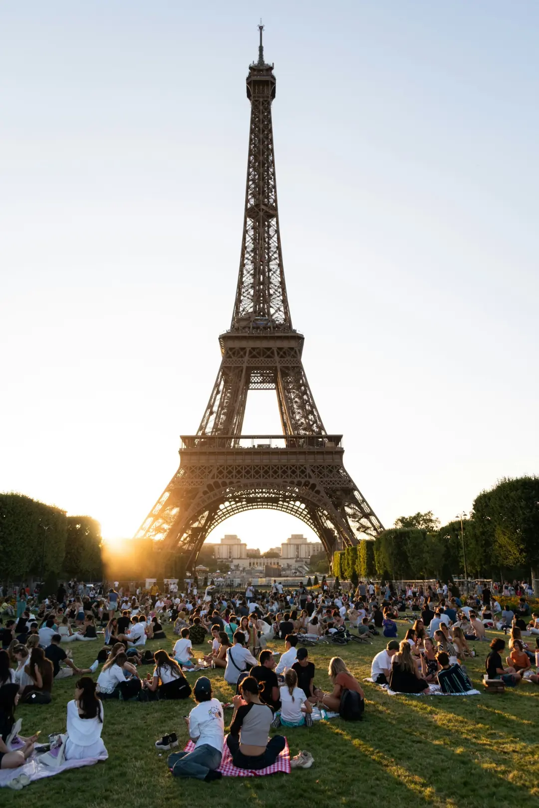 MEGA Picnic | Relax Together