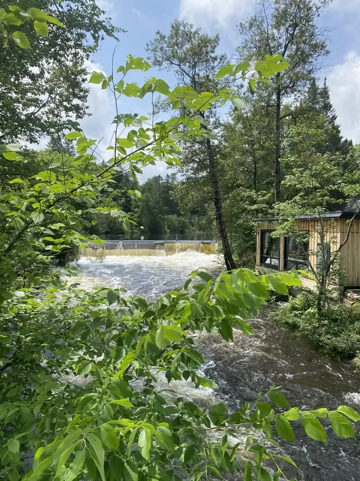 Fin de semaine de yoga et pleine air libre 