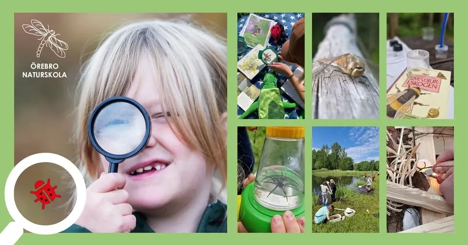 Sommarlov på Naturskolan