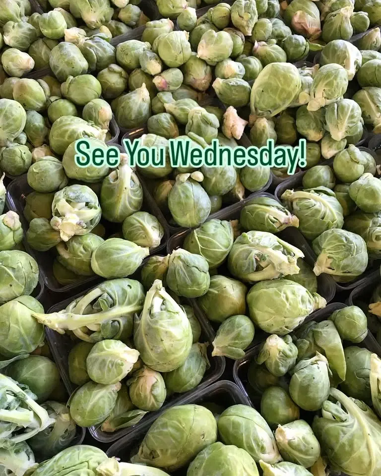 Wednesday Farmers Market