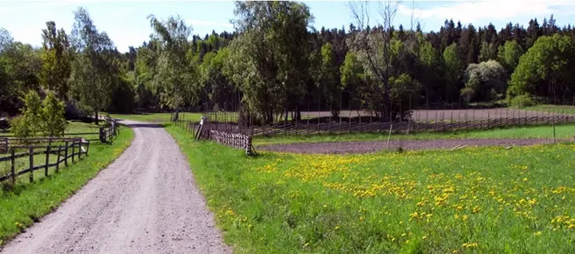BÄRSÄRKAGÅNGEN 2026