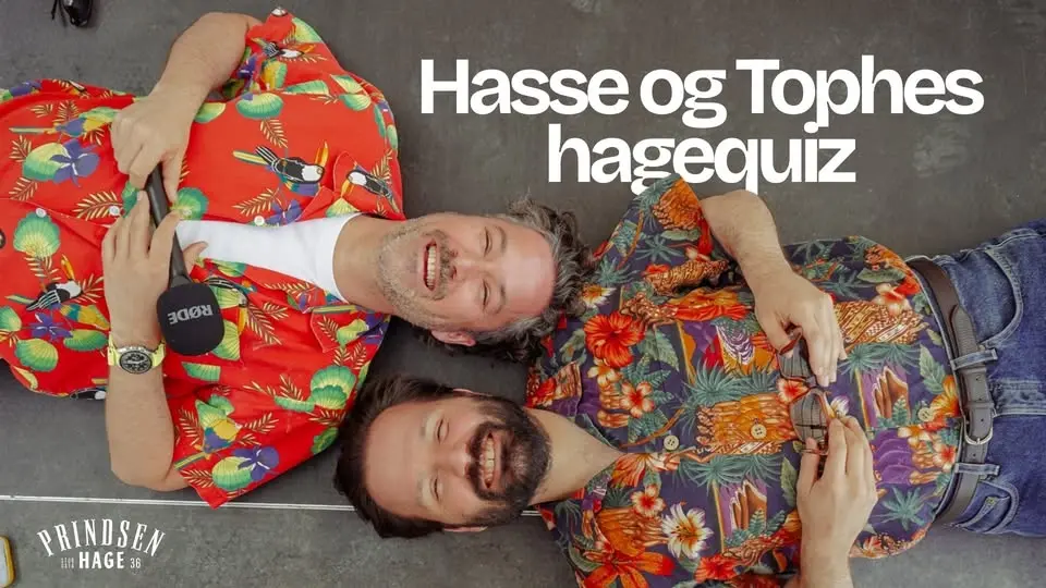 Hasse og Tophes Hagequiz - (nesten) hver onsdag! 