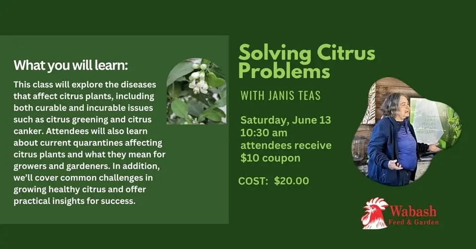 Solving Citrus Problems