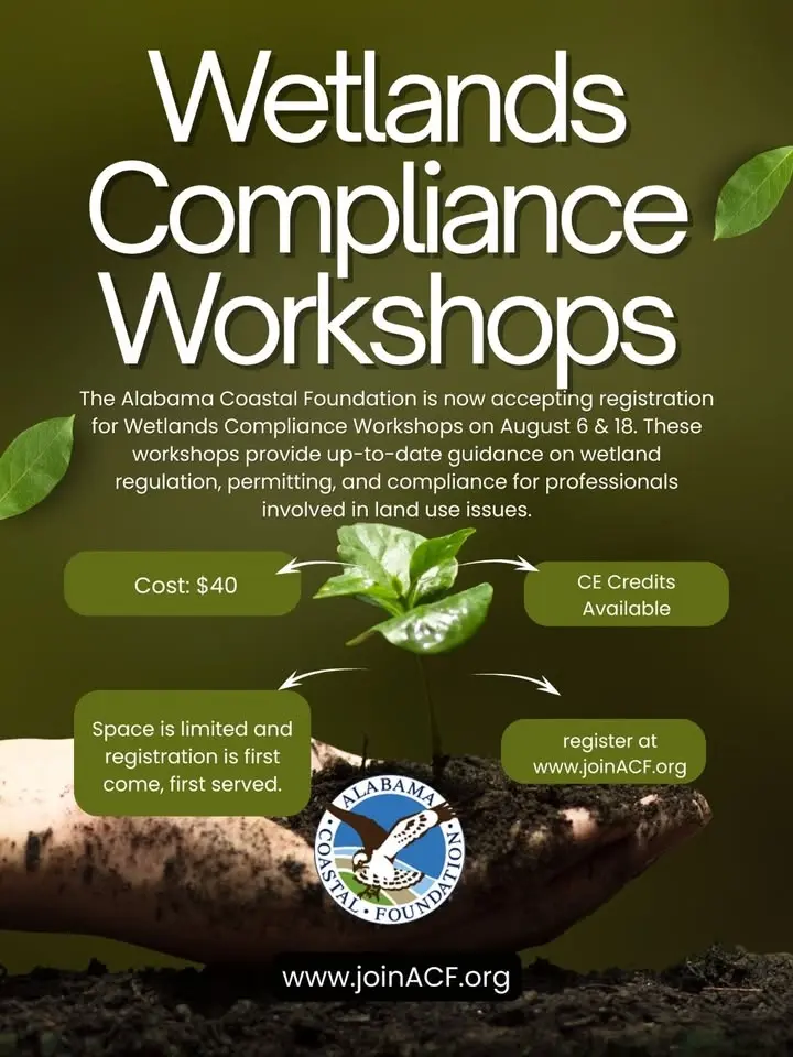 Wetlands Compliance Workshop | CE Credits Available