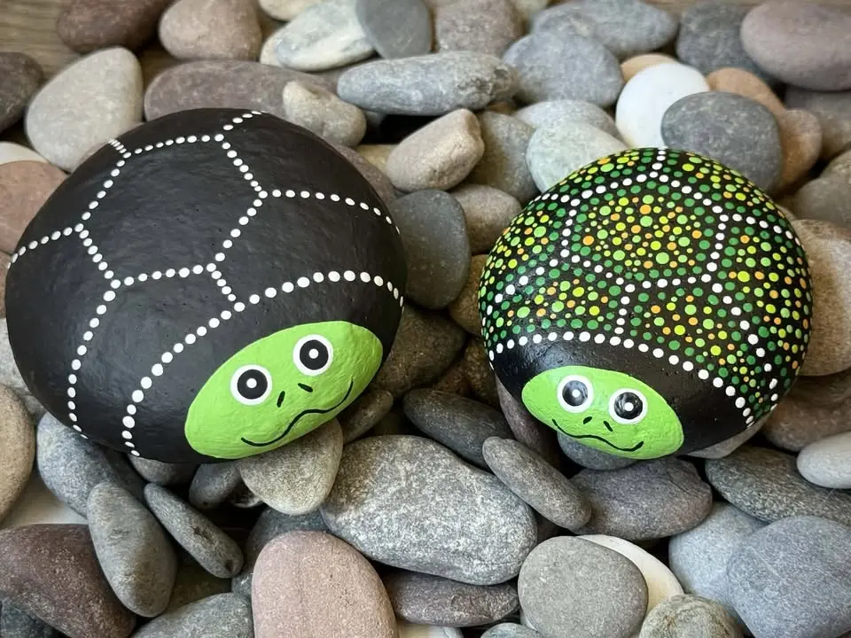 Rock Painting Class 