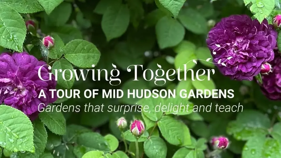 Growing Together: A Tour of Mid Hudson Gardens