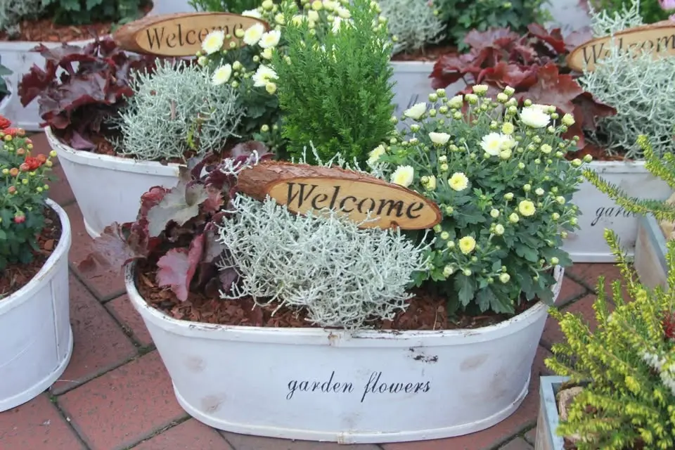 Herbstmarkt Hilden 2026 mit verkaufsoffenem Sonntag
