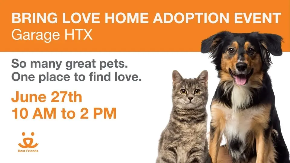 Houston: Bring Love Home Adoption Event