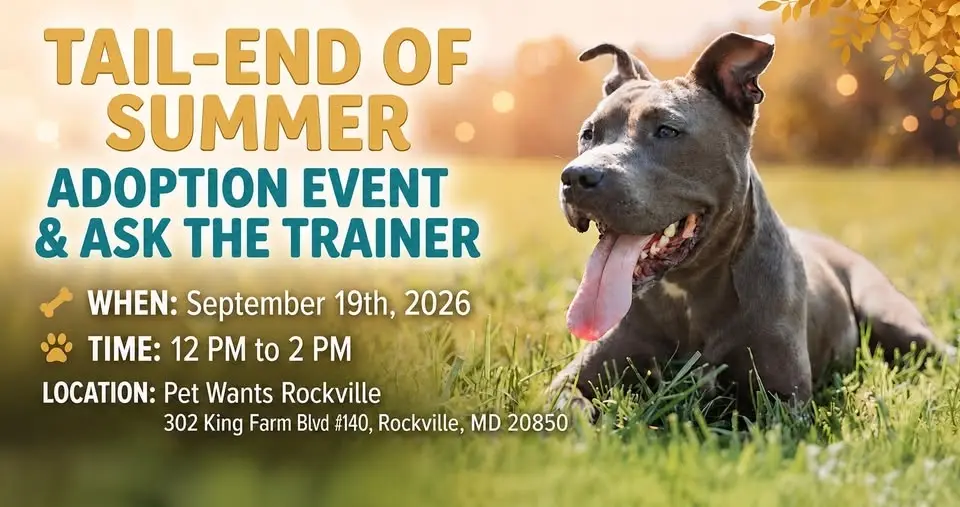 ☀️🐾Tail-End of Summer Adoption Event & Ask the Trainer🐾☀️