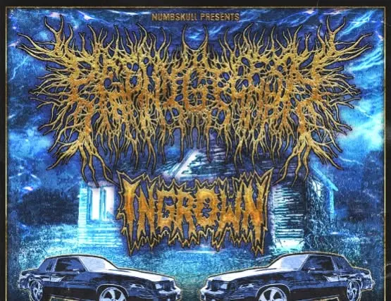 PeelingFlesh, Ingrown, Wartorn, Desecratory