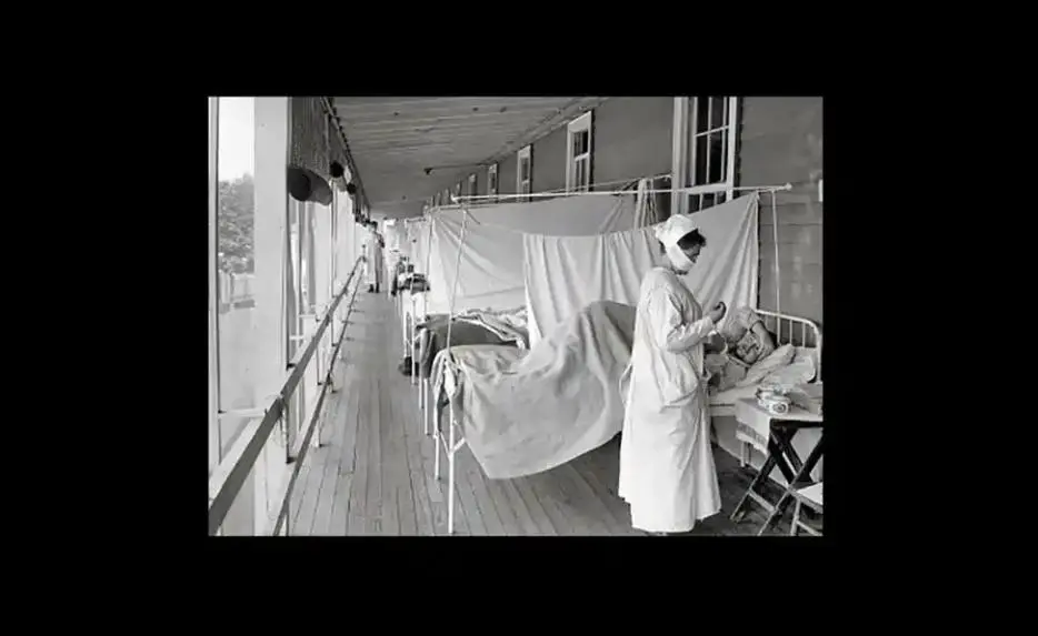 Ten Plagues of Sydney: Talk by Storyteller Jo Henwood