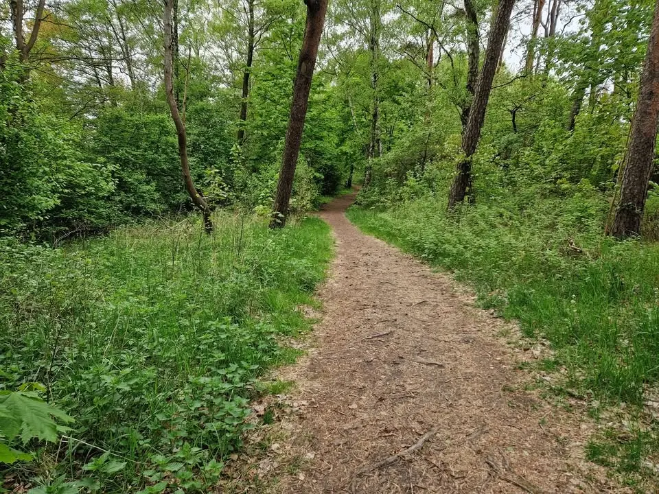 Vandring genom Söders natur