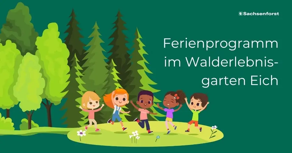 Ferien-Programm: Alle hängen voneinander ab - Lebensgemeinschaft Wald