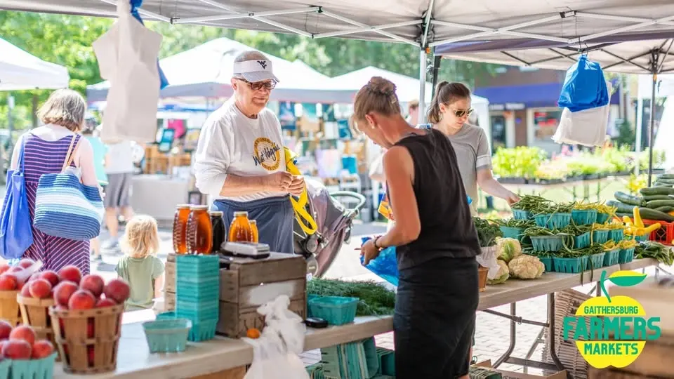 Main Street Farmers Market