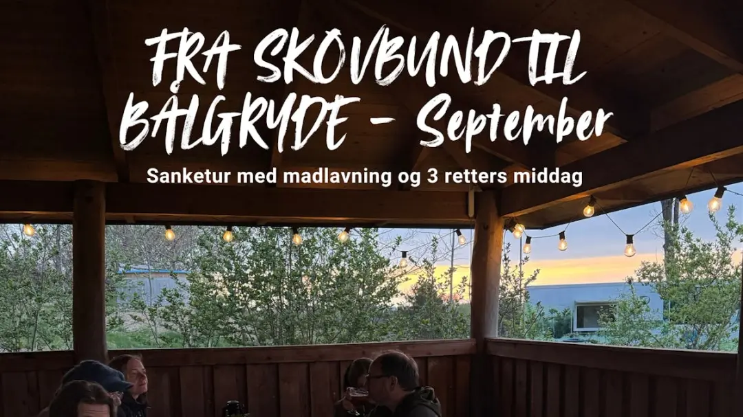 Sanketur & 3-retters menu over bål i Gribskov