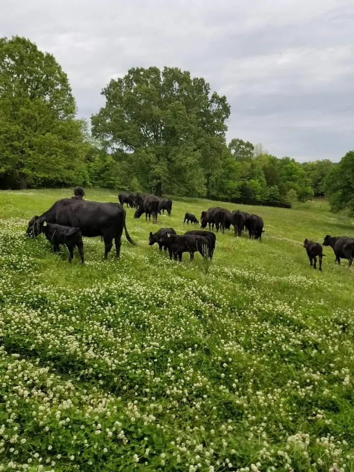 2nd Annual Plow Days at Cherry Farms
