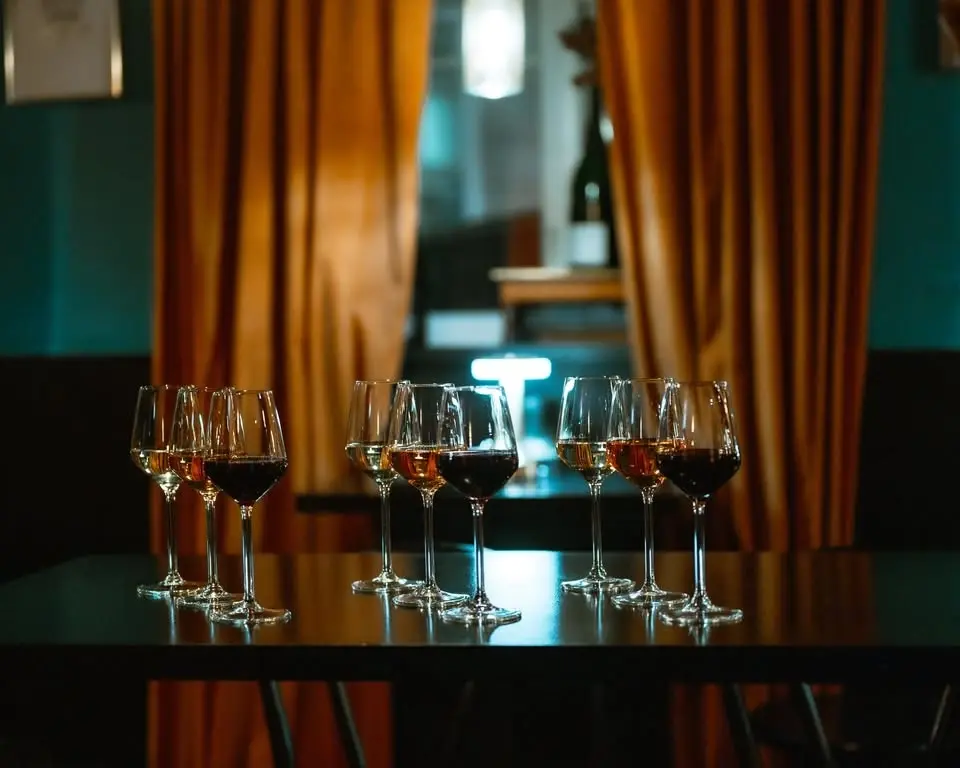 🍷 Kosovo Wine Tasting Evening 🇽🇰