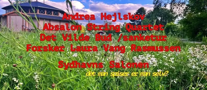 Sydhavns Salonen: Andrea Hejlskov; Det Vilde Bud; Absalon String Quartet; Laura Vang Rasmussen
