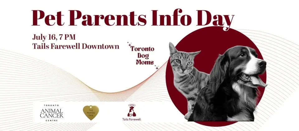 The Pet Parent Info Sessions: Presented By Toronto Dog Moms