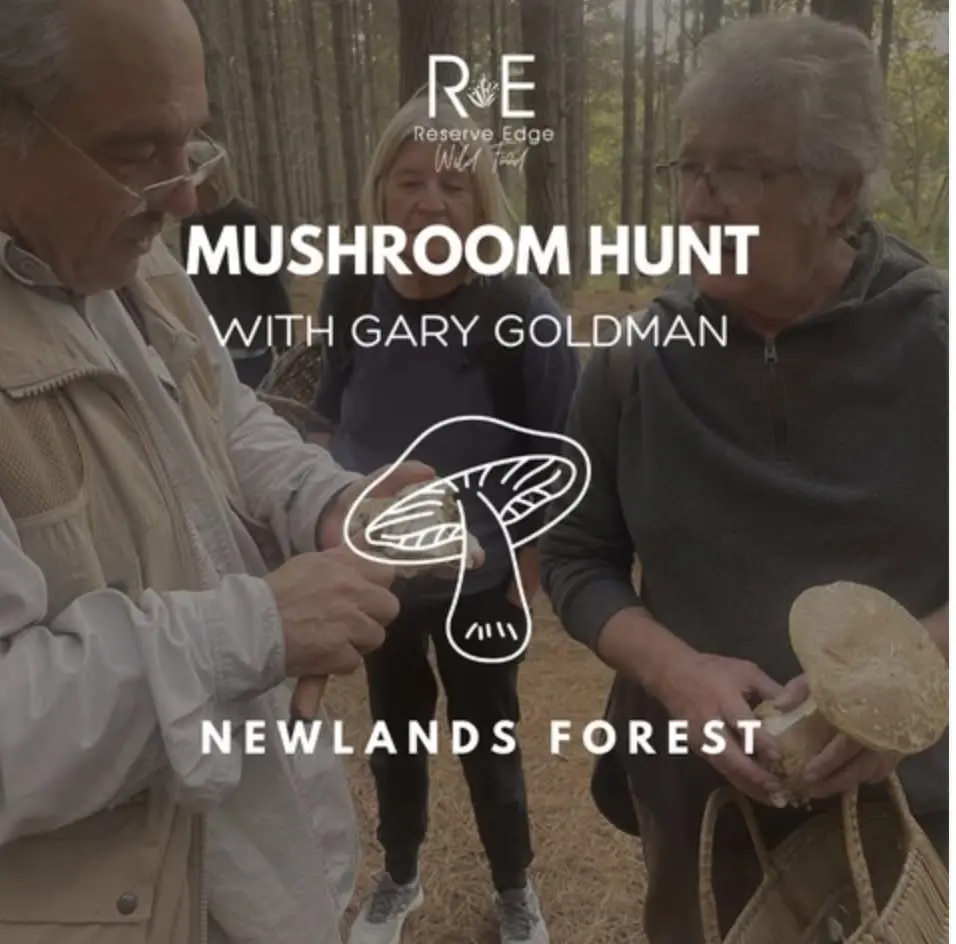 Mushroom Hunt