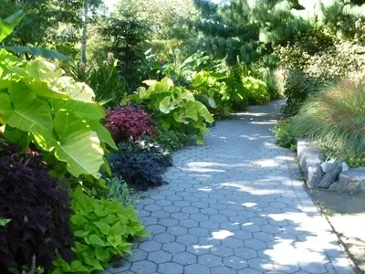 Tropical Border Walk
