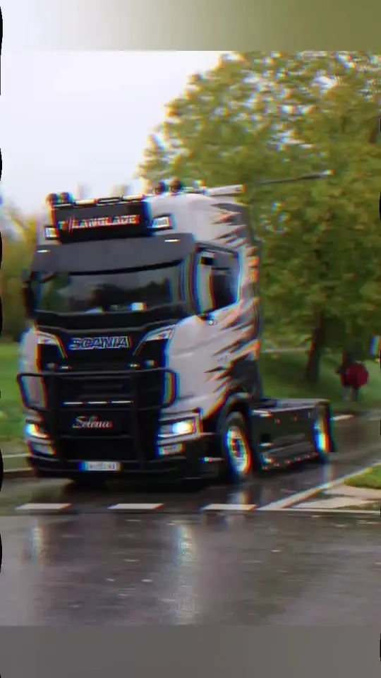 verdun truck show IV 