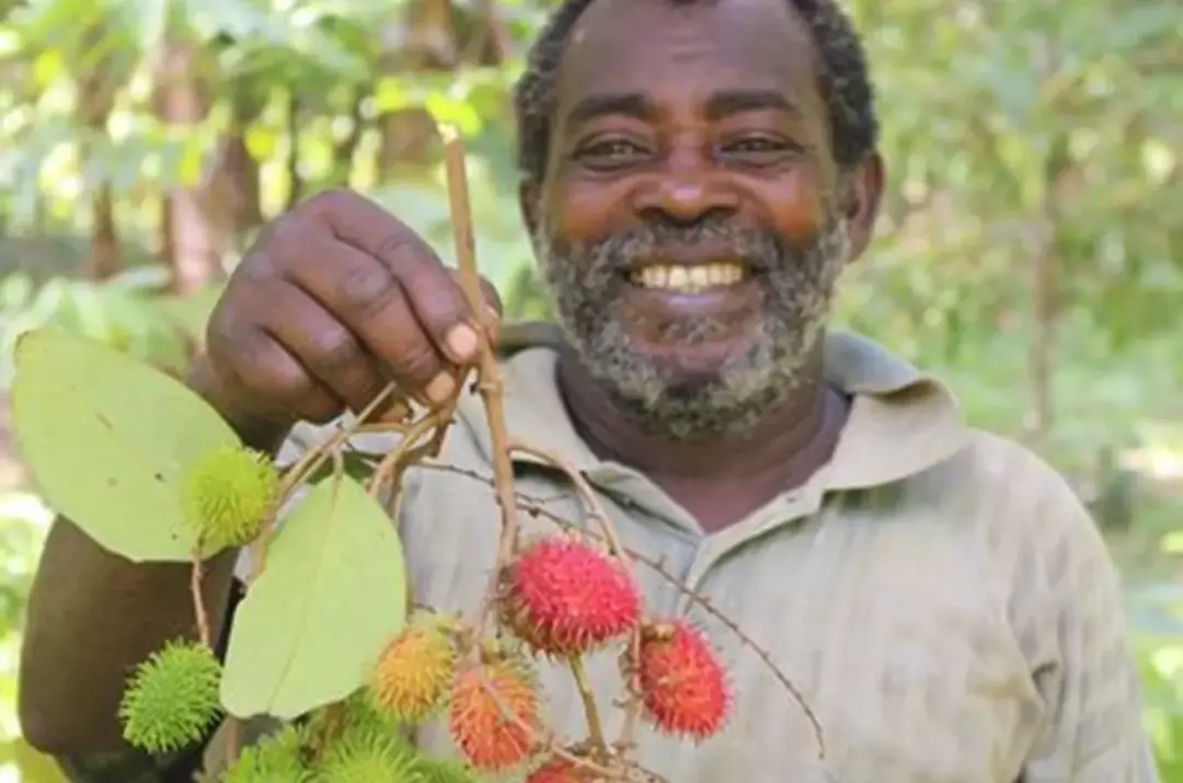 Africké trhy v Písku