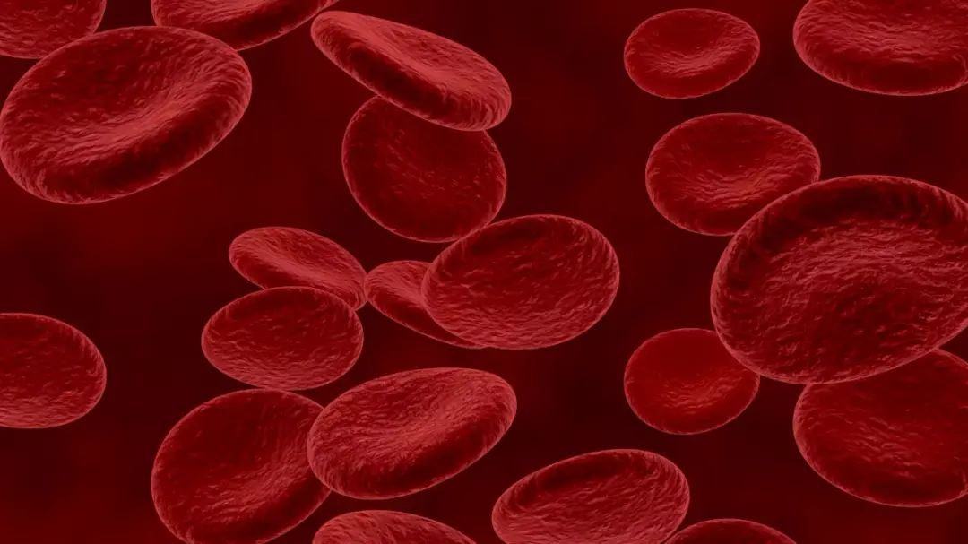 3rd International Conference on Hematology and Blood Disorders