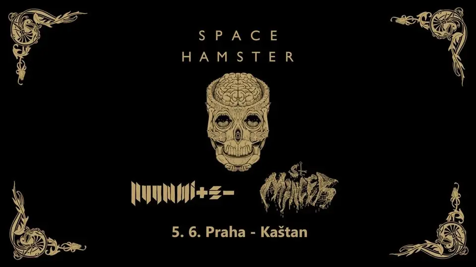 Space Hamster ✴ Nuummite ✴ St. Mincer
