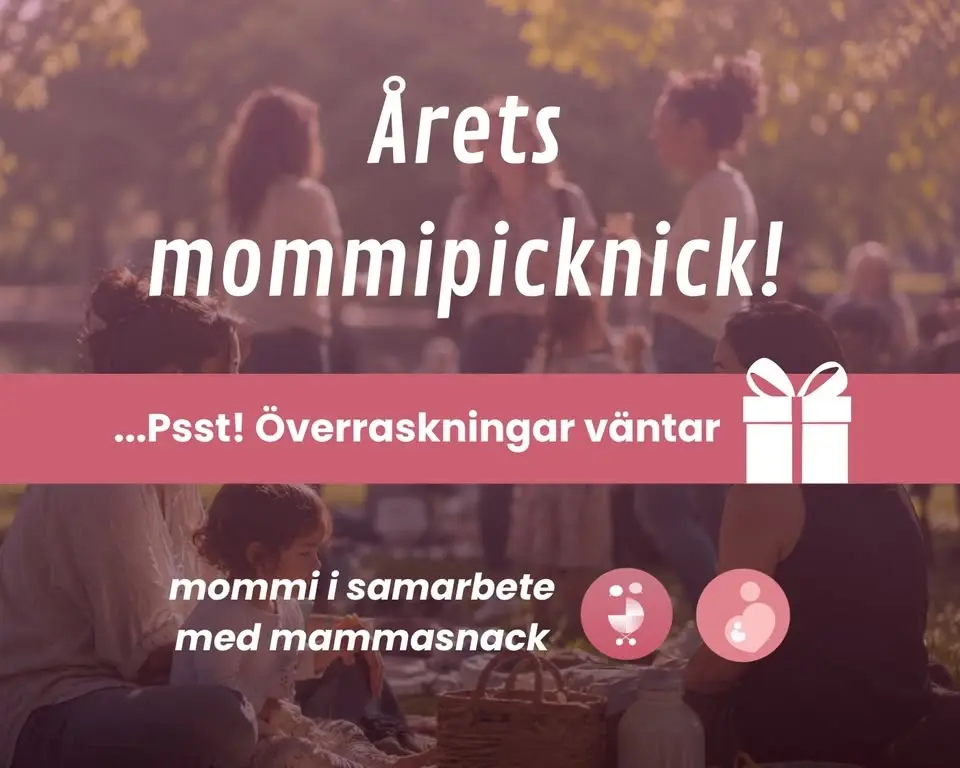 Årets mommipicknick 