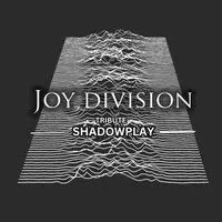 Joy Division tribute Shadowplay Live