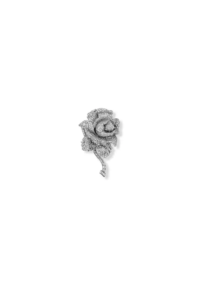 CARTIER | Relaxed Sessions – Evening