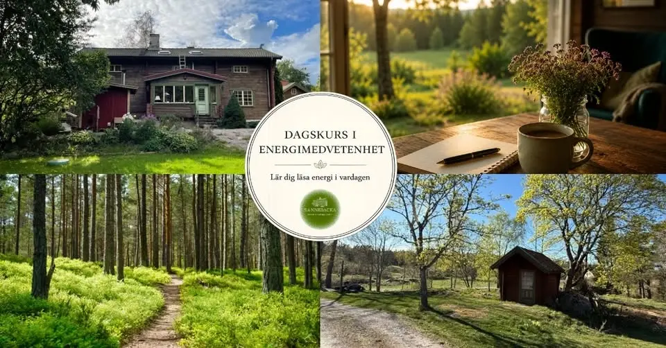 Lär dig läsa energi i vardagen - Dagskurs på Sannebacka