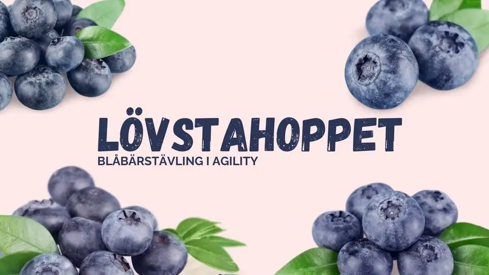 Lövstahoppet | Blåbärstävling i agility