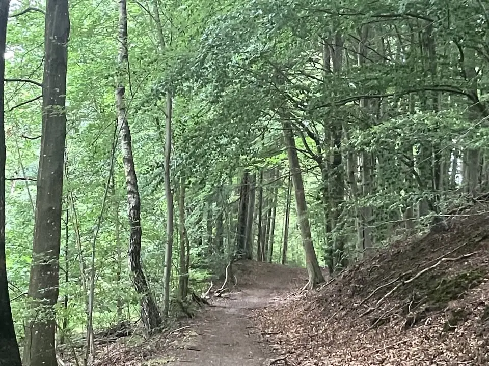 Pilgrimsvandring från Veberöds kyrka till Blentarps kyrka
