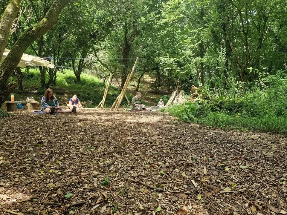 Woodland Workshop: Introduction to Forest Bathing at Poole Farm