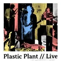 Plastic Plant