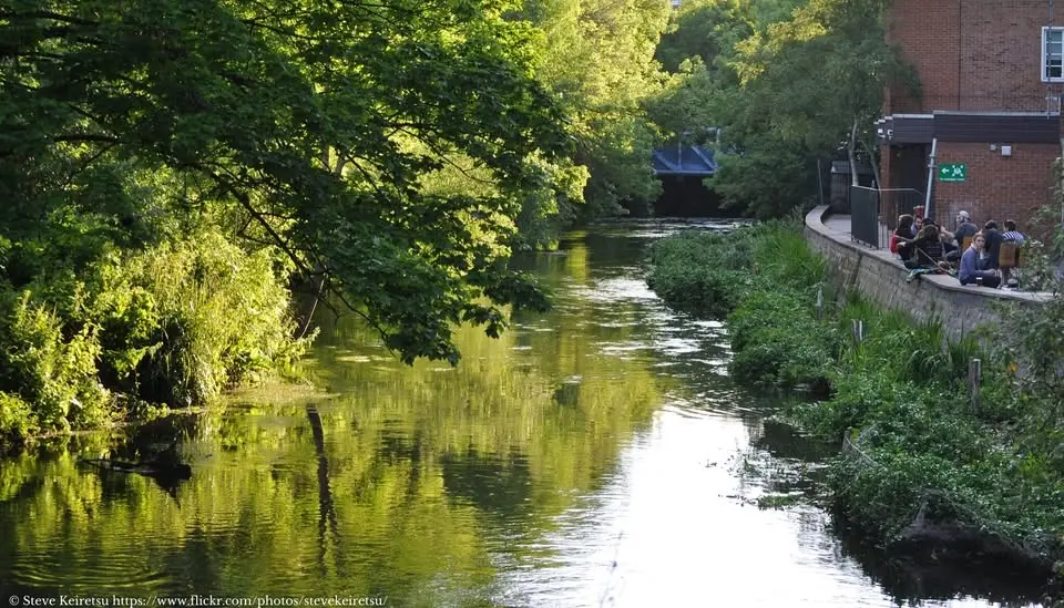 Nature Journaling along the Hogsmill