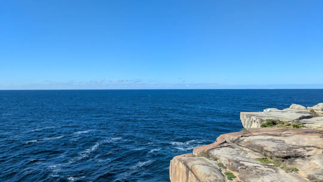 Whale Watching Warmup Hiking/Coast walk: Watsons Bay to Bondi Beach”